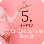 5 hafta gebelik en çok sorulan sorular