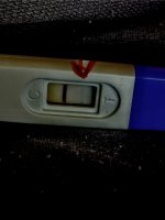 IMG_6672.jpeg