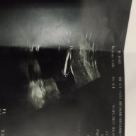 Gülay Dilan Çellik